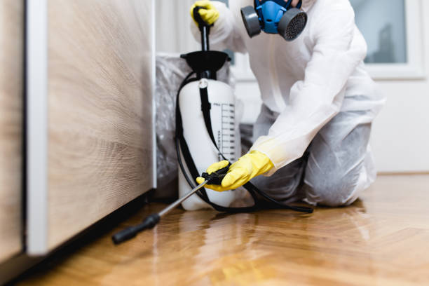 Best Pest Removal Services  in Newburgh Heights, OH