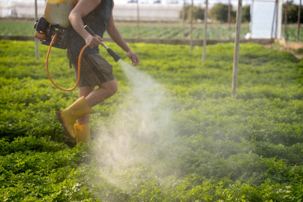 Best Pest Removal Services  in Newburgh Heights, OH