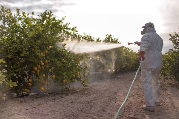 Best Pest Control Near Me in Newburgh Heights, OH