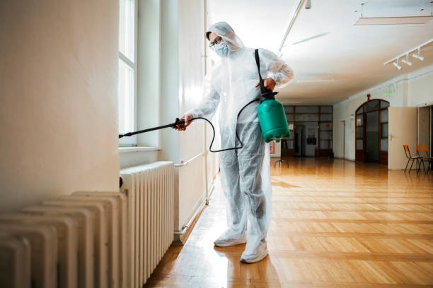 Best Local Pest Control Services  in Newburgh Heights, OH