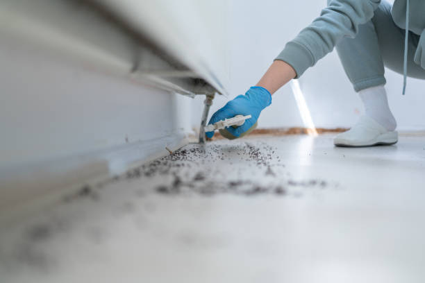 Best Pest Prevention Services  in Newburgh Heights, OH