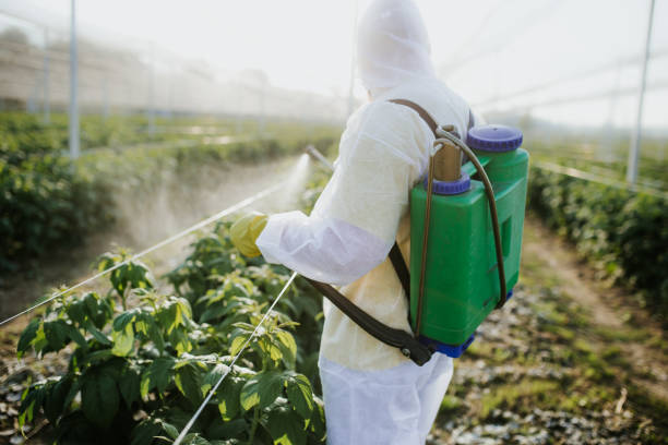 Best Pest Inspection Near Me  in Newburgh Heights, OH